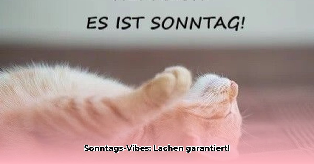 sonntag-lustig
